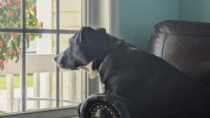 Brody Welcomes Client